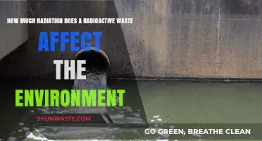 Environmental Impact of Radioactive Waste: Assessing Radiation Effects