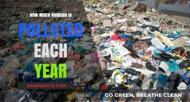 The World's Annual Rubbish Pollution Crisis