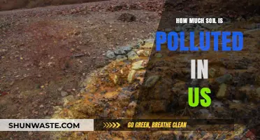 Soil Pollution in the US: A Troubling Extent