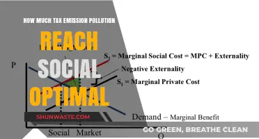 Taxing Emissions: Social Optimum