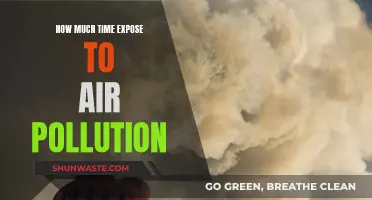 Air Pollution: How Much Is Too Much?