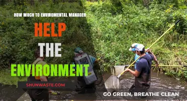 Environmental Managers: Key Roles in Protecting and Sustaining Our Planet