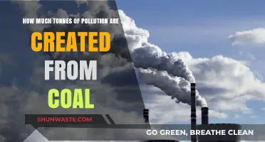Coal's Dark Secret: Pollution by the Tonnes