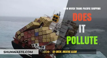 Trans-Pacific Shipping's Pollution Problem