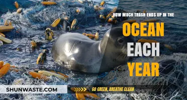 The Ocean's Trash Problem: An Annual Crisis