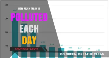 The World's Daily Trash Pollution Crisis