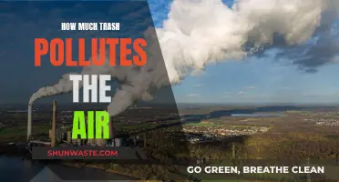 Air Pollution: The Trash Crisis We Can't Ignore