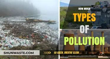 Understanding the Many Types of Pollution