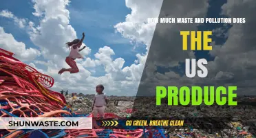 US Waste and Pollution: A Troubling Overview