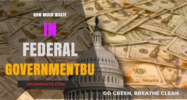Unveiling the Hidden Waste in the Federal Government Budget