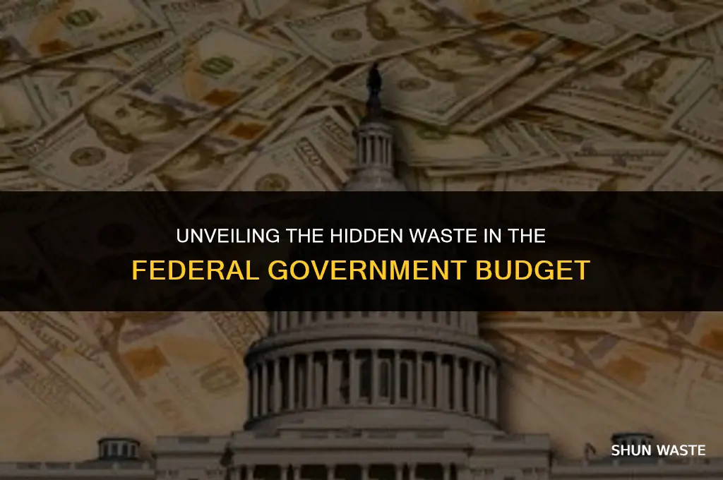 how much waste in federal governmentbudget