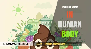 Exploring the Hidden Waste Within: A Journey Inside the Human Body