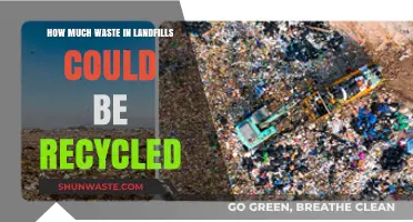 Unlocking Recycling Potential: A Deep Dive into Landfill Waste