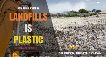 The Plastic Predicament: Uncovering the Truth About Landfill Waste