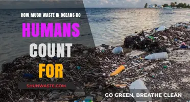 Human Impact on Ocean Waste: A Sobering Reality Check