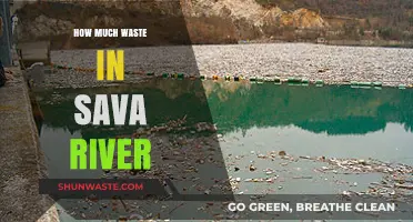 Assessing the Environmental Impact: Waste Levels in the Sava River