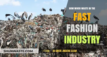 Unraveling the Hidden Costs: Waste in the Fast Fashion Industry