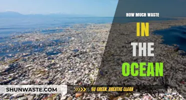 Ocean's Burden: Unveiling the Alarming Waste Crisis