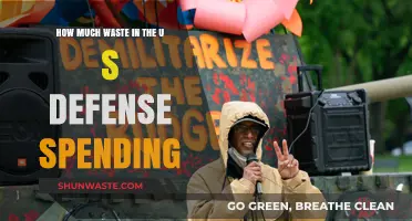 Uncovering Hidden Waste in U.S. Defense Spending: A Deep Dive