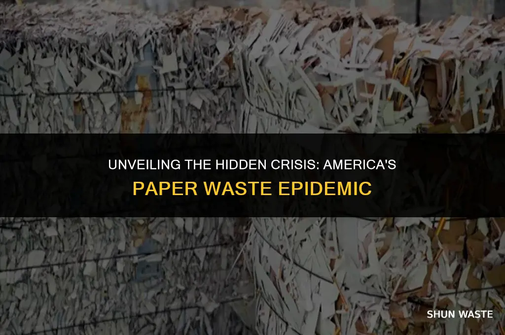how much waste in the us is paper