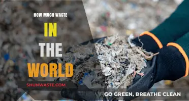 Global Waste Crisis: Understanding the Scale and Impact of Our Trash