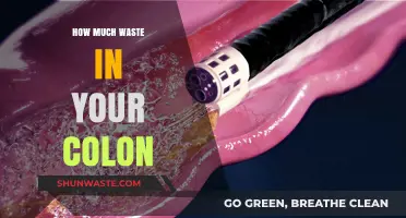 Unveiling the Hidden Waste: A Journey Inside Your Colon