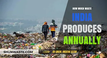 Annual Waste Production in India: A Comprehensive Overview