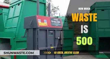 Unveiling the Hidden Impact: 500's Waste Footprint Revealed