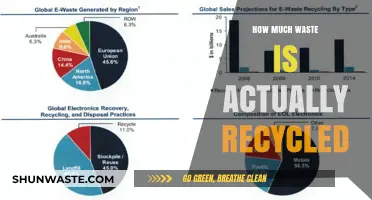 Unveiling the Truth: The Real Recycling Rates of Our Waste