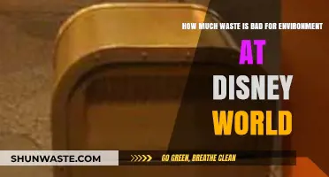 Disney World's Environmental Impact: Uncovering the Hidden Waste Crisis