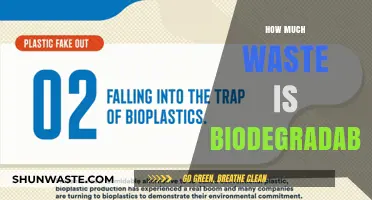 Unveiling the Truth: Biodegradable Waste and Its Impact