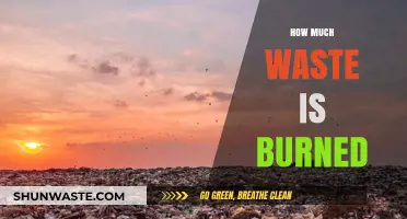 The Hidden Costs of Incineration: Unveiling the Waste Burning Crisis