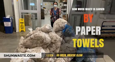 The Hidden Environmental Impact of Our Daily Paper Towel Use