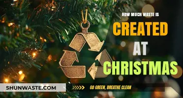 Unwrapping the Truth: Christmas Waste and How to Reduce It