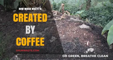 The Hidden Environmental Cost of Our Daily Coffee Habit