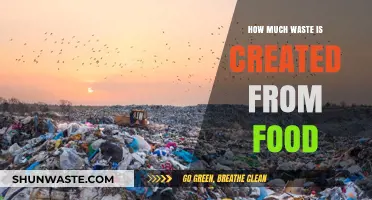 The Hidden Cost of Our Meals: Uncovering Food Waste's Impact