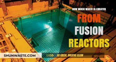 Unveiling the Environmental Impact: Waste Generation in Fusion Reactors