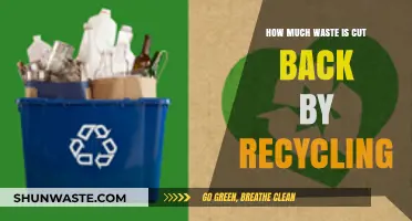 Sustainable Impact: The Power of Recycling in Waste Reduction