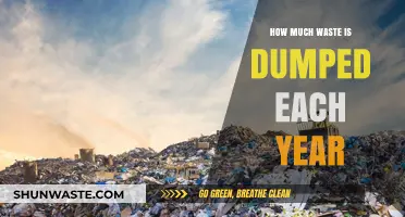 Annual Waste Dumping: A Shocking Reality Check