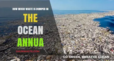 Ocean's Burden: Unveiling the Annual Waste Dumping Crisis