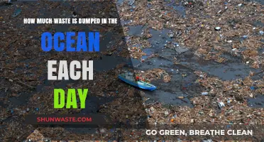 Daily Ocean Waste Dumping: A Shocking Reality Revealed