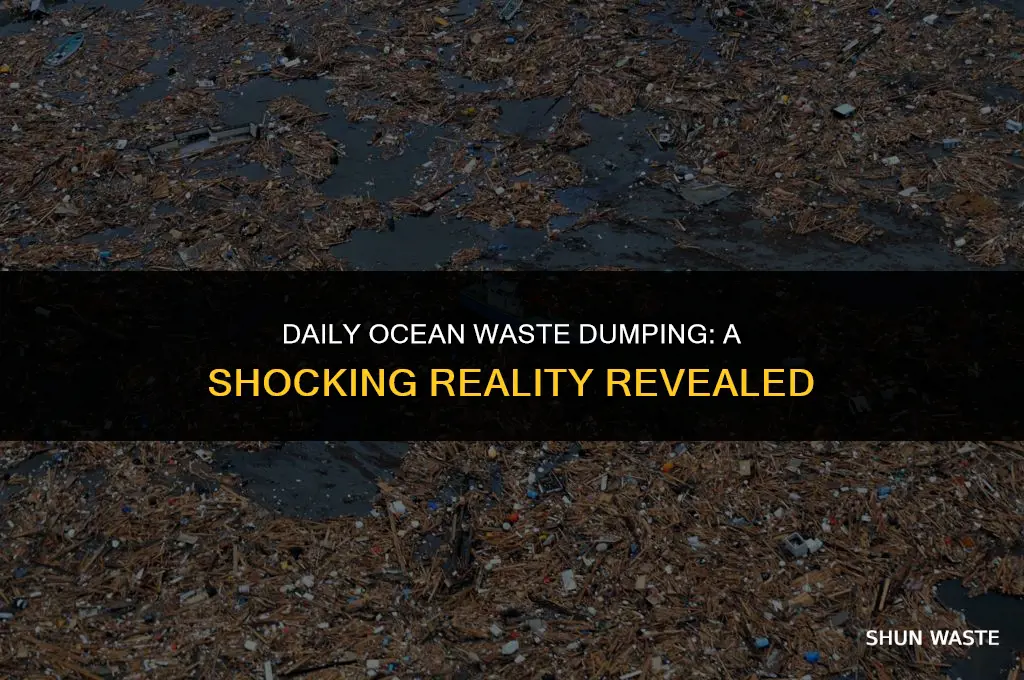 how much waste is dumped in the ocean each day