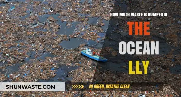 Ocean's Burden: Unveiling the Shocking Truth About Marine Waste Dumping