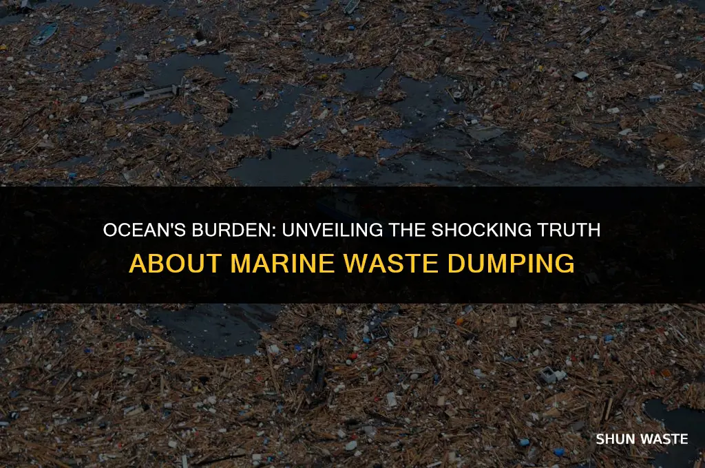 how much waste is dumped in the ocean lly
