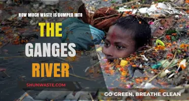 Pollution Crisis: The Ganges River's Waste Burden
