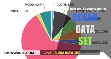 Ocean's Burden: Unveiling the Alarming Amount of Waste Dumped Annually