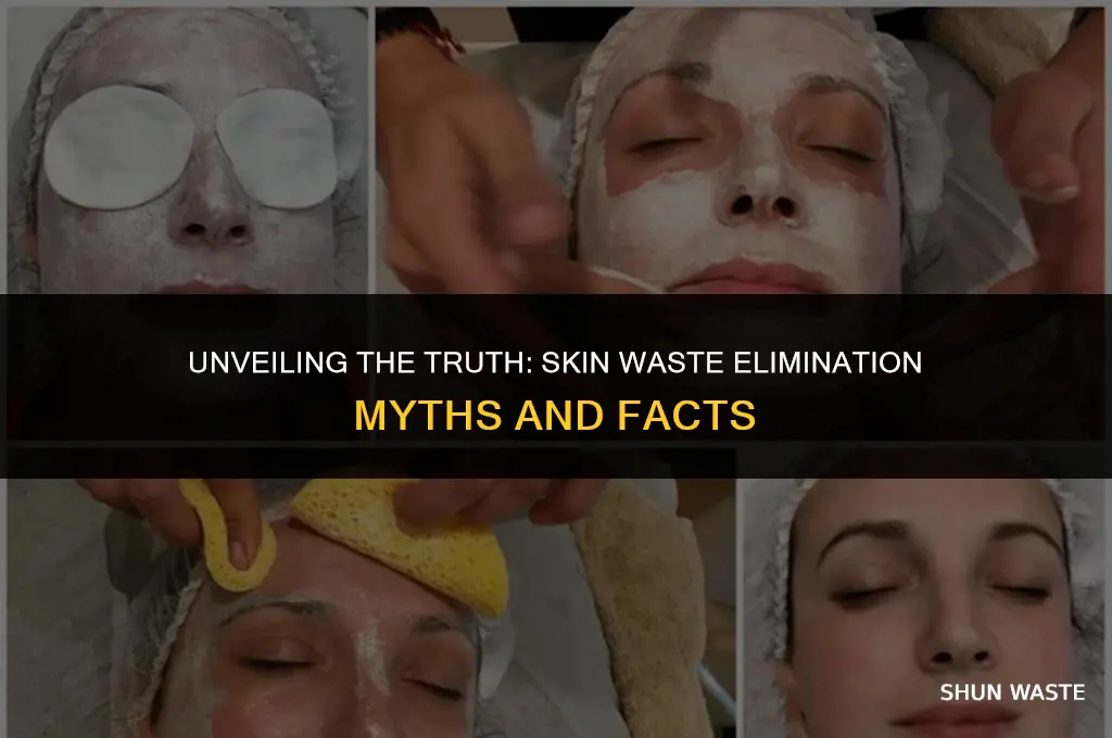 how much waste is excreted through the skin