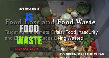 The Hidden Crisis: Understanding the Scope of Food Waste