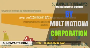Corporate Giants and Their Waste: A Critical Examination