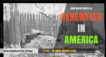 America's Waste Crisis: A Deep Dive into the Scale and Impact